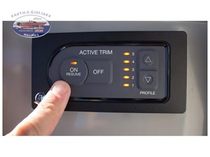 ACTIVE TRIM